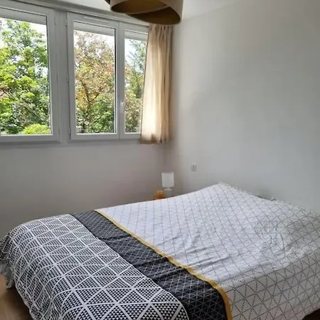 Superbe T3 Cosy, Parking Gratuit + Balcon Apartament Riom